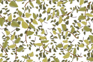 Evaluating the Floral Natural Branches Pattern for Professional Design Workflows