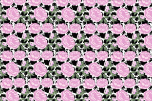 Floral Rose Pattern Design: Elevating Creative Projects with Complete Asset Packages