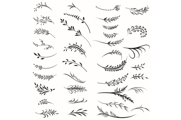 Set of Floral Calligraphic Swirls: Strategic Application for Visual Branding